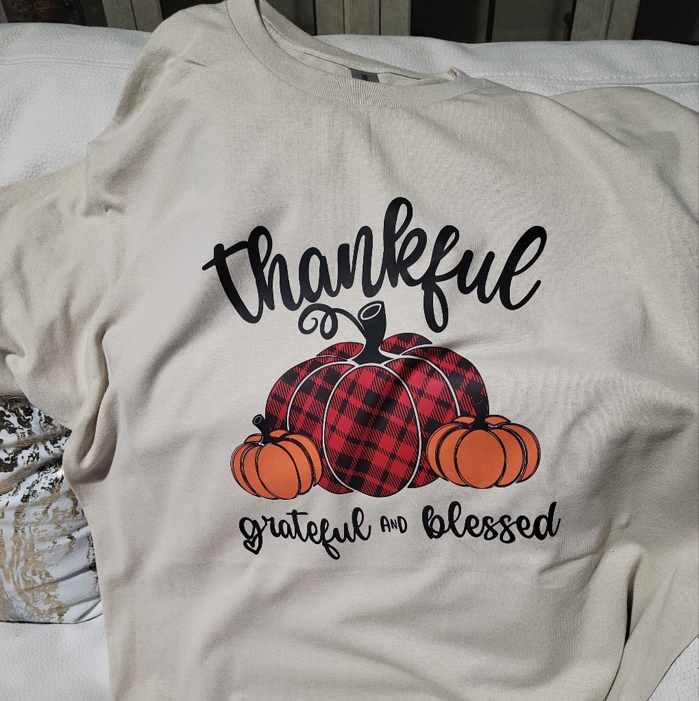Fast shipping! New Gildan Holidays tshirt Thankful grateful and blessed